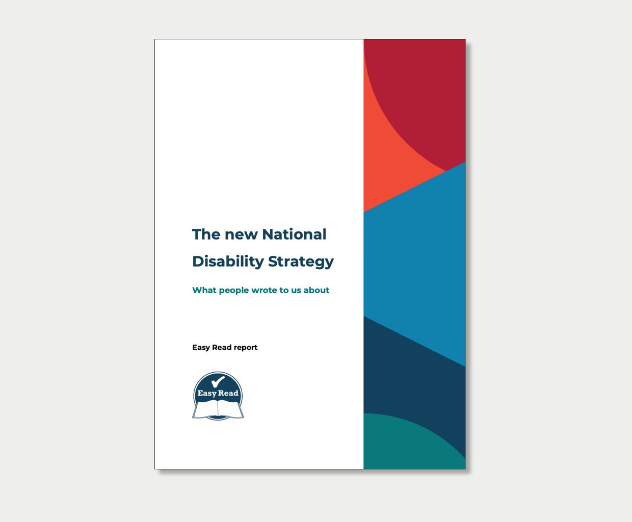 The new National Disability Strategy